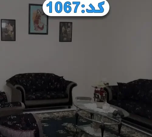 مبلمان و فرش سرمه ای سالن نشیمن ویلا در نوبنیاد