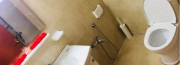 توالت فرنگی و آیینه سرویس بهداشتی آپارتمان در 40 دستگاه